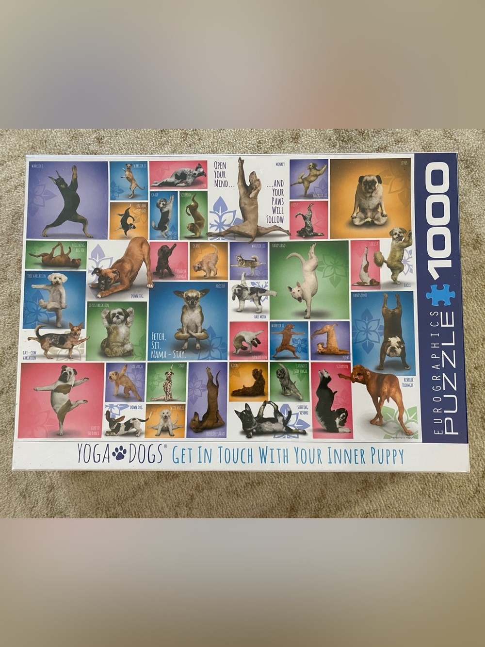 EuroGraphics Yoga Dogs 1000-Piece Puzzle - Multi Color